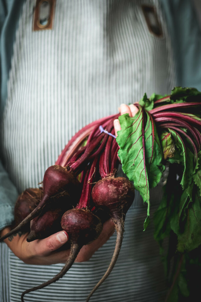 Hands Holding Beets 